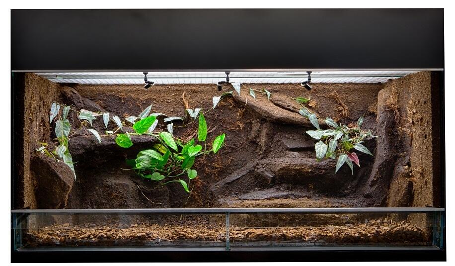 Czy możliwa jest naprawa używanego terrarium?