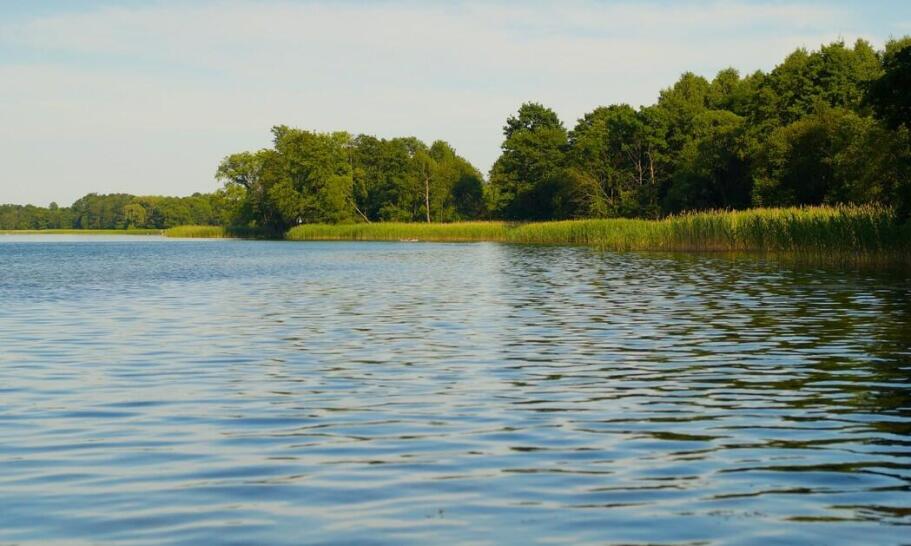 Jak wyposażone są domki wczasowe w Zawozie? Jak wyposażone są domki wczasowe w Zawozie?