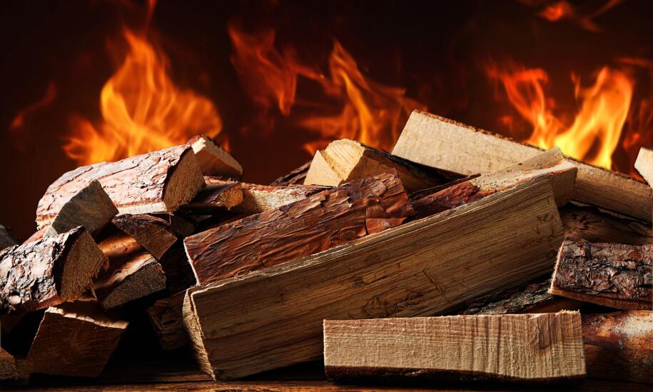 Na co zwrócić uwagę przy wyborze drewna do kominka?