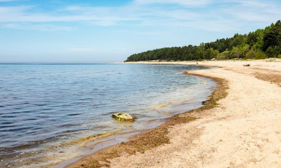 Odkryj urok wybrzeża bałtyckiego – najpiękniejsze miejscowości nad morzem