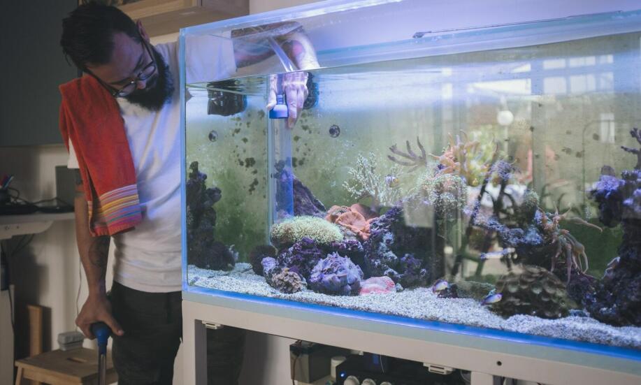 Co wyłożyć na dno akwarium?