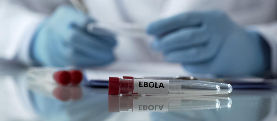 Wirus ebola