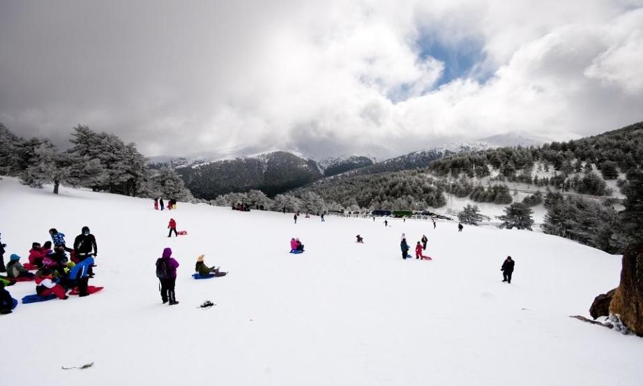 Zimowiska. Propozycje zimowych wycieczek szkolnych