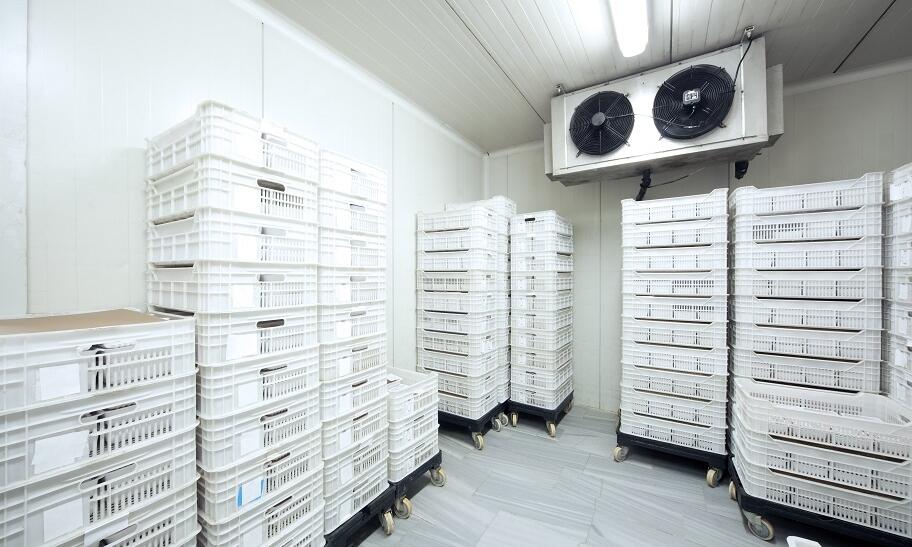 Jakie normy muszą spełniać komory chłodnicze? 