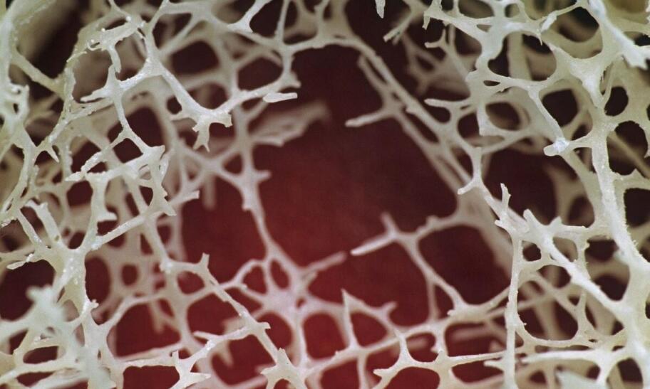 Zabiegi z użyciem tropokolagenu - regeneracja i poprawa witalności tkanek