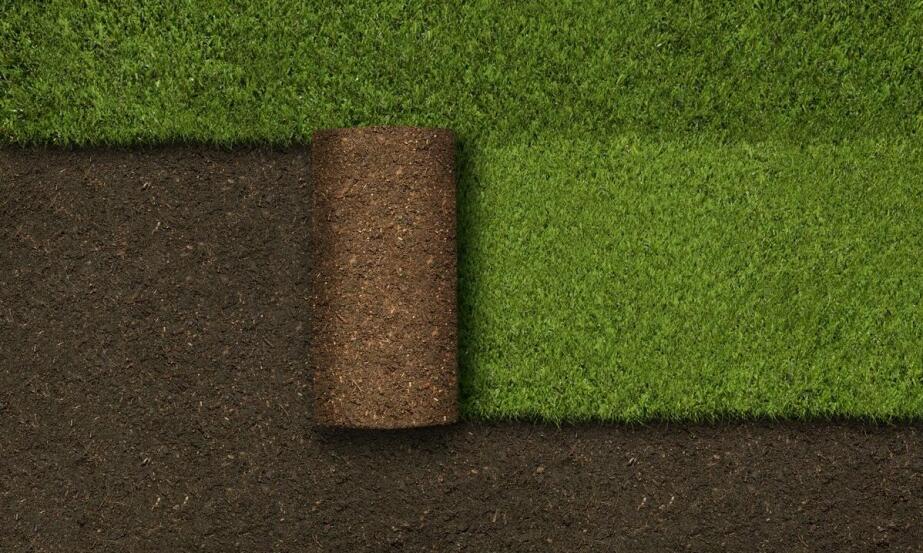 Jakie materiały i technologie stosuje się przy zakładaniu trawników z rolki?