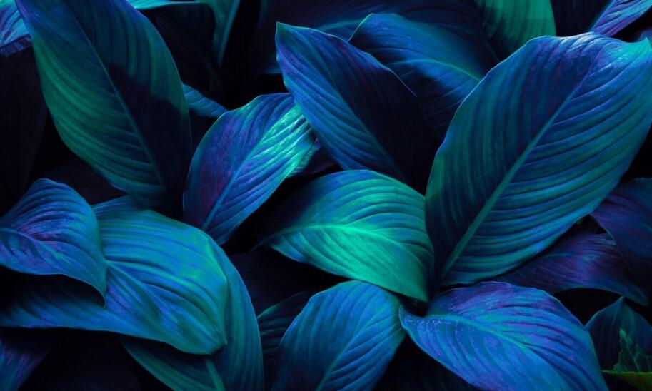 Jak zmieniać wygląd wnętrza za pomocą fototapet? Pomysły na szybkie metamorfozy