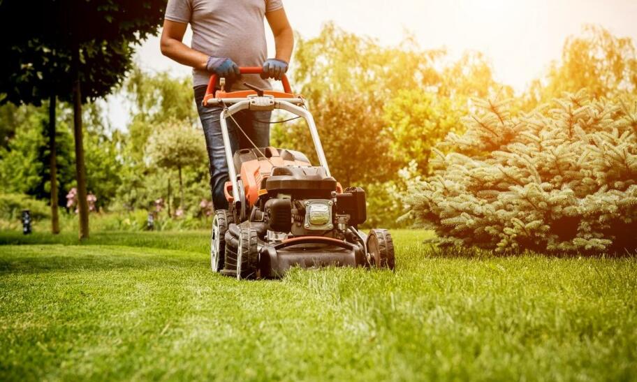 Porządkowanie ogrodów – jak utrzymać porządek w przestrzeni zielonej?