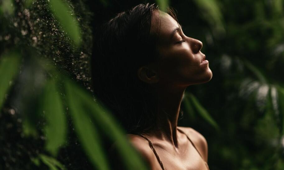 Dlaczego warto wybrać kosmetyczki i inne akcesoria z bambusa?