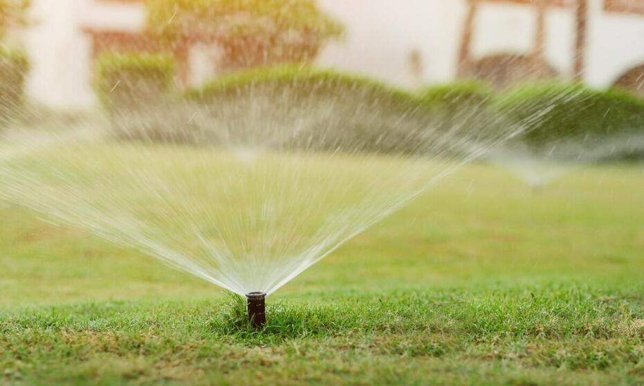 Automatyczne systemy nawadniania ogrodów - korzyści dla właścicieli nieruchomości