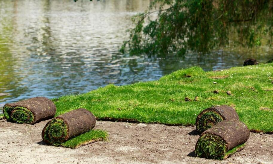 Trawa rolowana na terenach rekreacyjnych: korzyści dla użytkowników