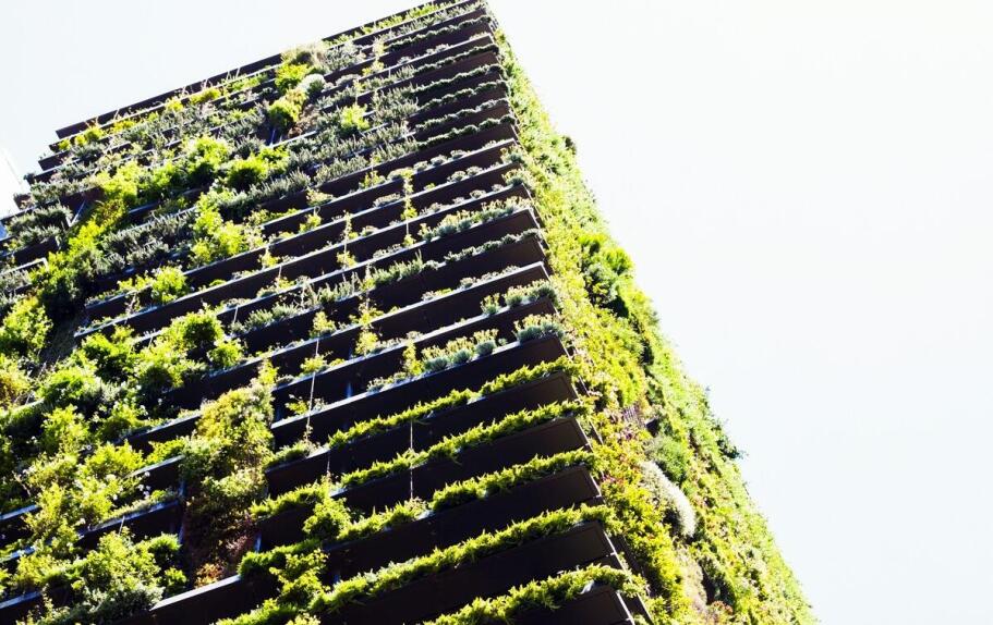 Substraty mineralne a ich rola w budowie zielonych dachów: co warto wiedzieć?