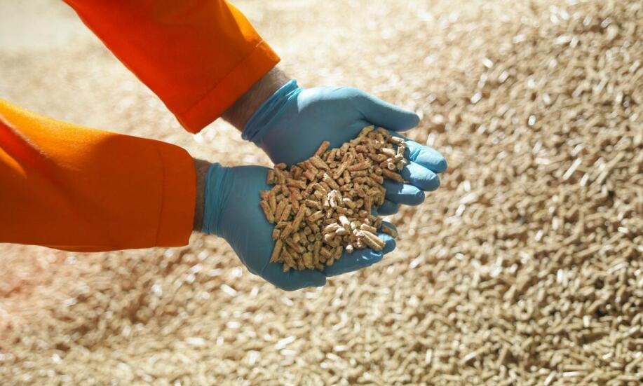 Zastosowanie pelletu z łuski słonecznika w przemyśle: korzyści dla dużych odbiorców