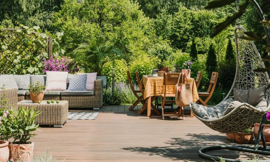 Katalpa na pniu – drzewo dla miłośników egzotycznych roślin