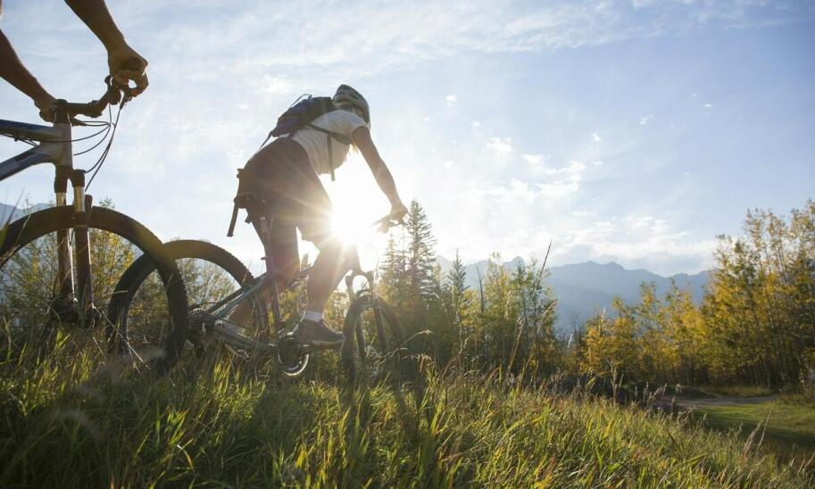 Agroturystyka jako sposób na oderwanie się od codzienności – zalety takiego wypoczynku