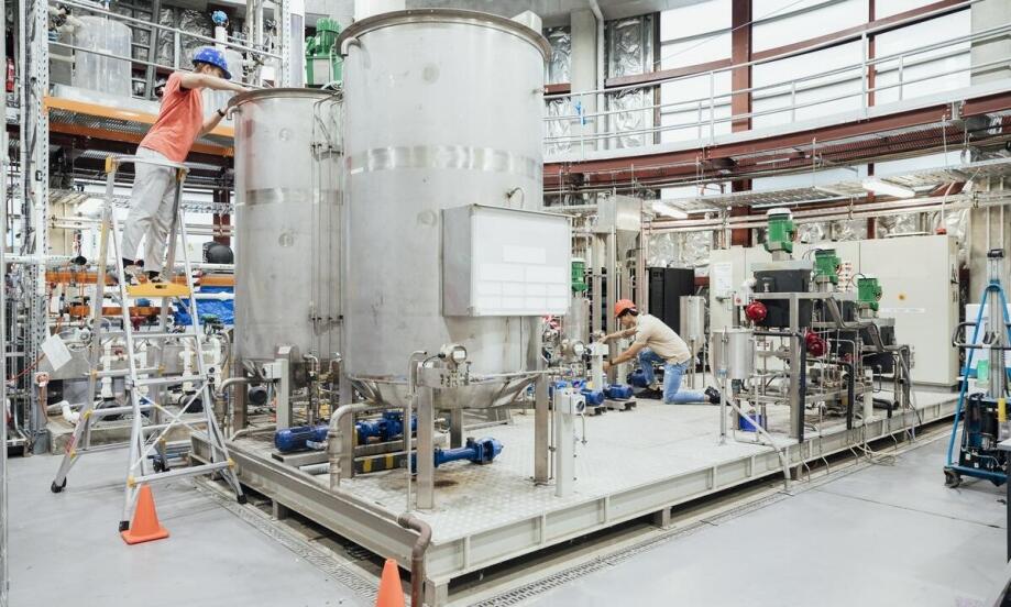 Drożdże pure: klucz do uzyskania wysokiej jakości etanolu w procesie fermentacji