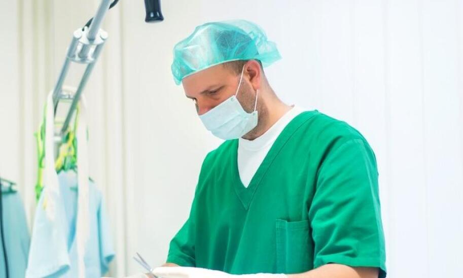 Fotografia wnętrz klinik weterynaryjnych: ukazanie troski o zwierzęta i profesjonalizmu personelu