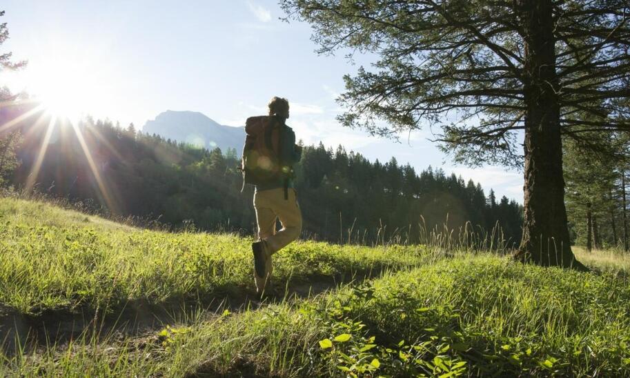 Dlaczego warto wybrać spodnie Fjallraven Barents na długie wędrówki?