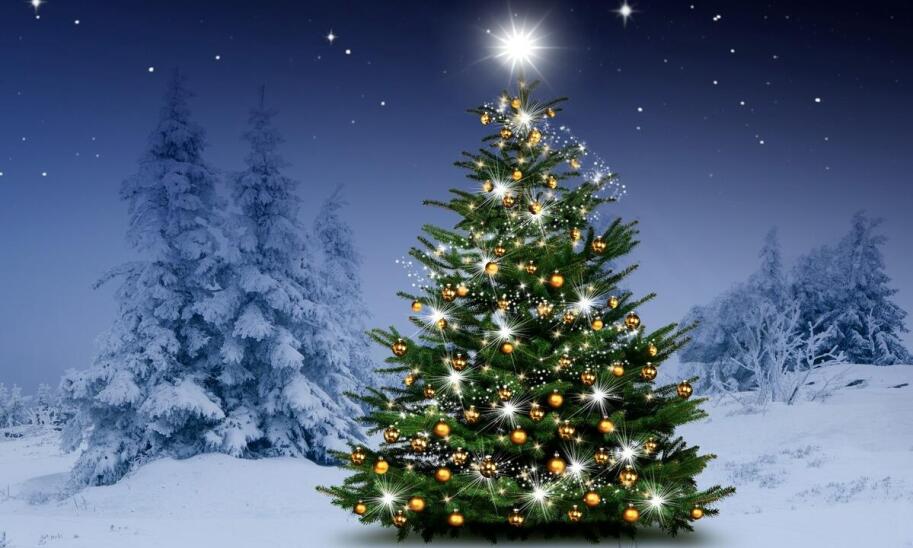 Choinki w różnych kulturach – jakie mają znaczenie?