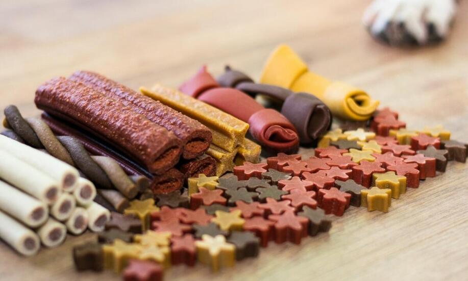 Jak prawidłowo dobierać porcje karmy suchej i mokrej dla naszego pupila?