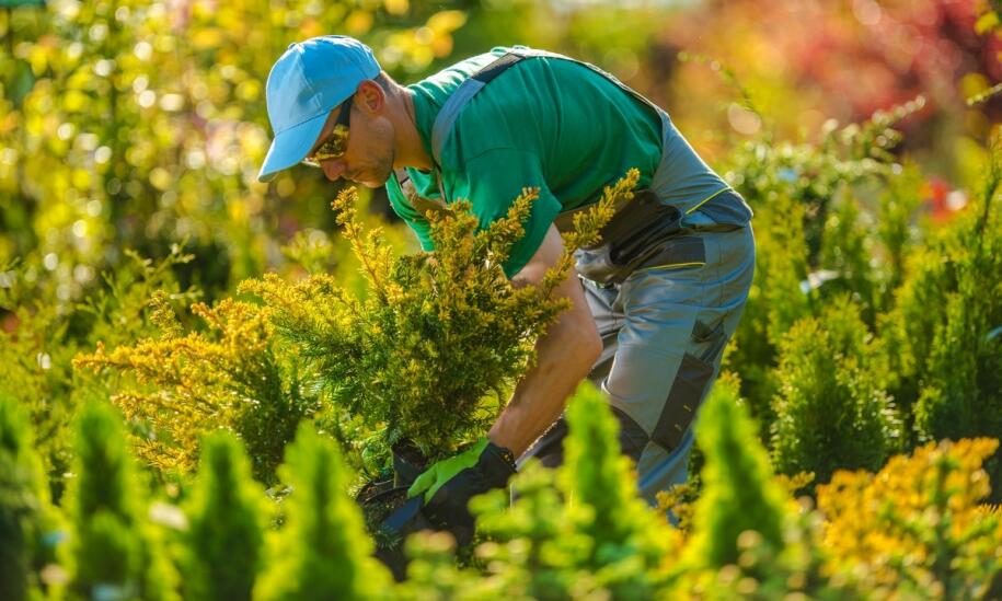 Nowoczesne mulczery: dlaczego są idealnym rozwiązaniem dla terenów zielonych?