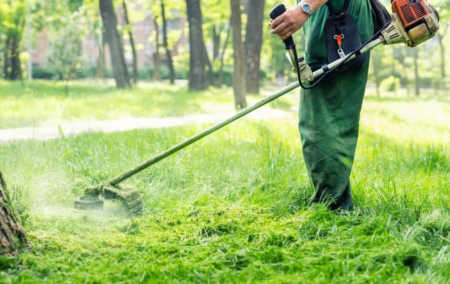 Koszenie trawników - jakie techniki stosują profesjonaliści?