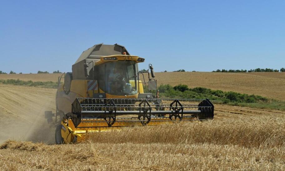 Trendy w uprawach zbóż – co powinien wiedzieć każdy rolnik?