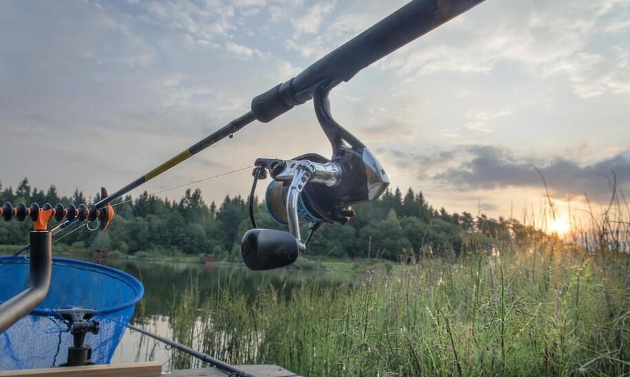 Co wyróżnia profesjonalny sprzęt dostępny w sklepach online?