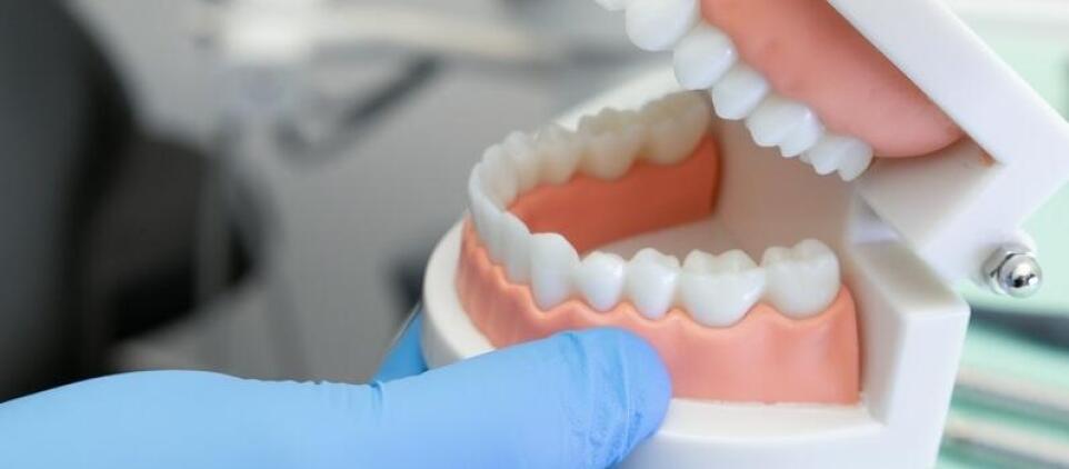 Ile czasu rośnie ząb mądrości?