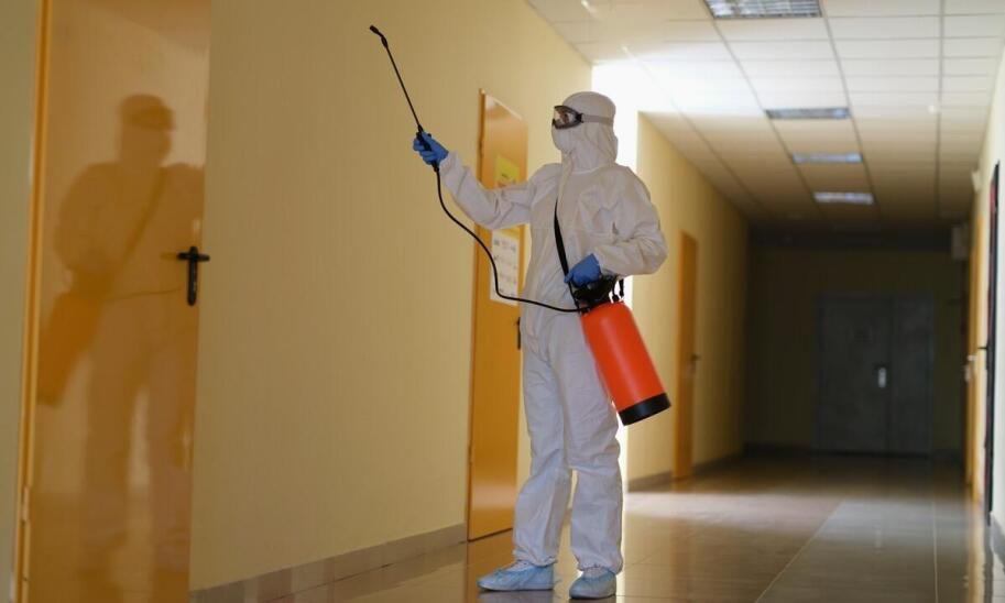 Jakie są korzyści płynące z regularnej deratyzacji w Zielonej Górze?