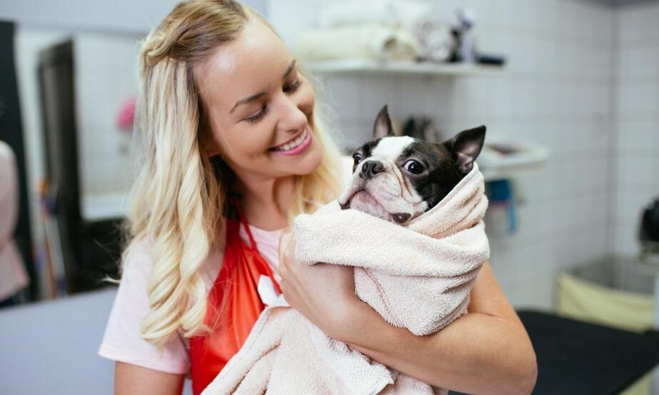 Czy hotel do psa lękliwego to dobry pomysł?