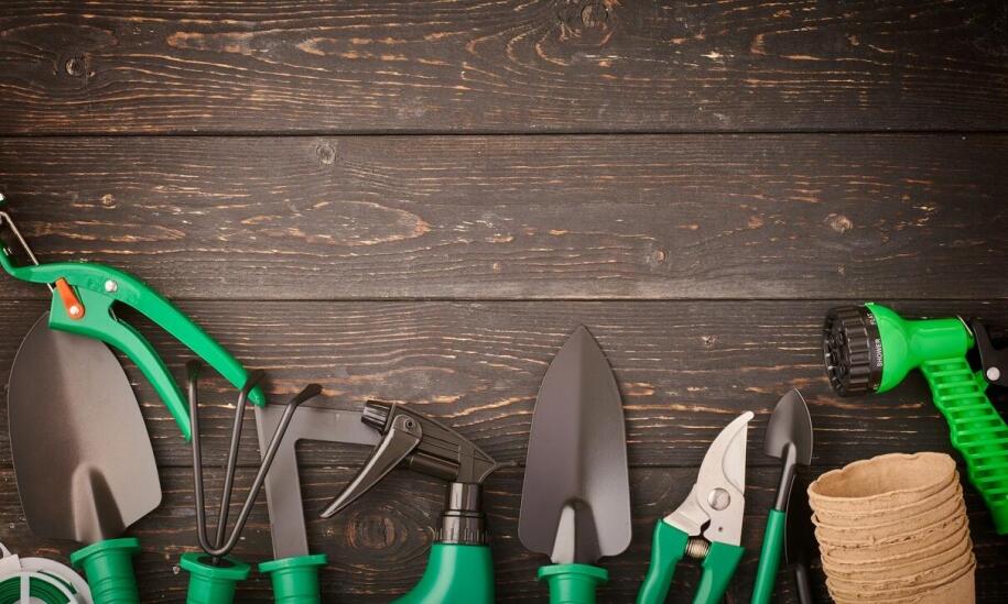 Jakie narzędzia są niezbędne do efektywnej pielęgnacji zieleni?