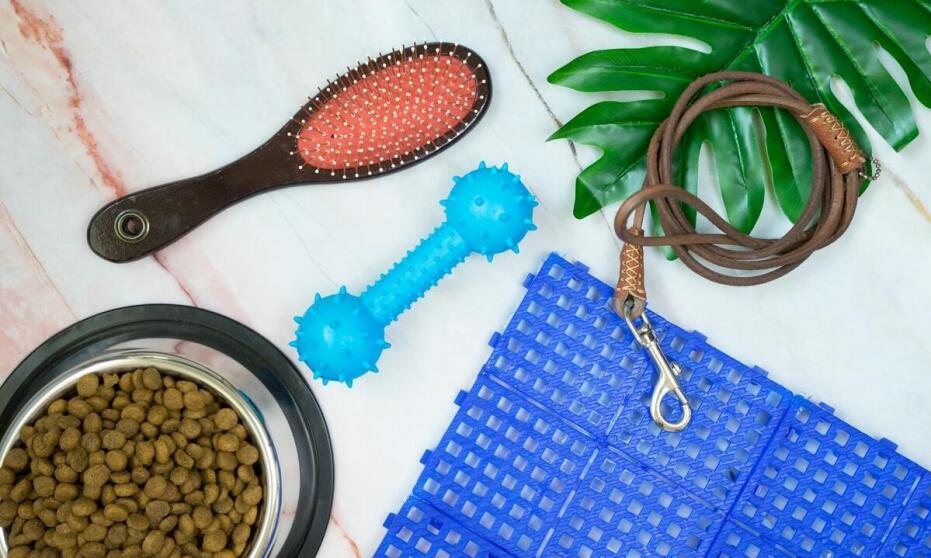 Przewodnik po najlepszych akcesoriach do zabawy dla królików i gryzoni