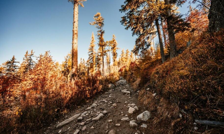 Jak przygotować się do wycieczki kolejką na Śnieżkę w sezonie letnim?