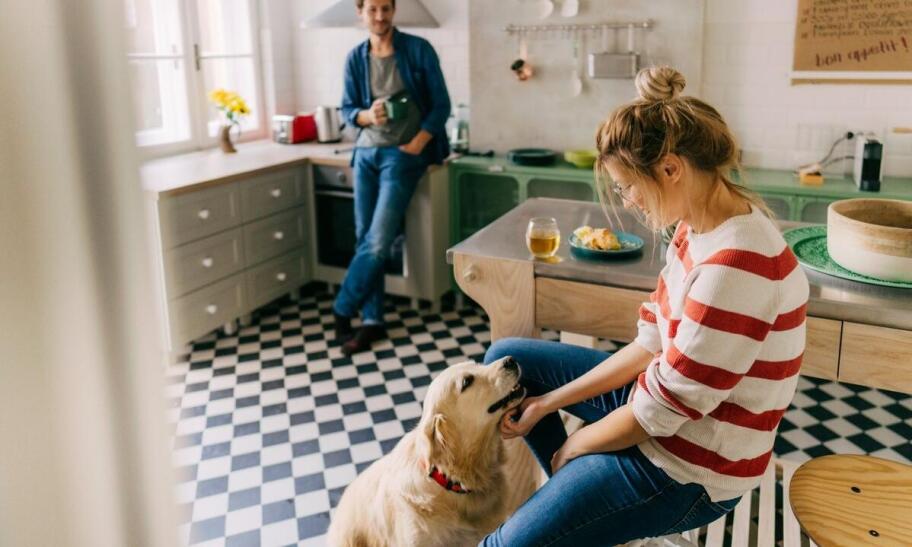 Poradnik: Jak przejść na suchą karmę bez stresu dla psa?