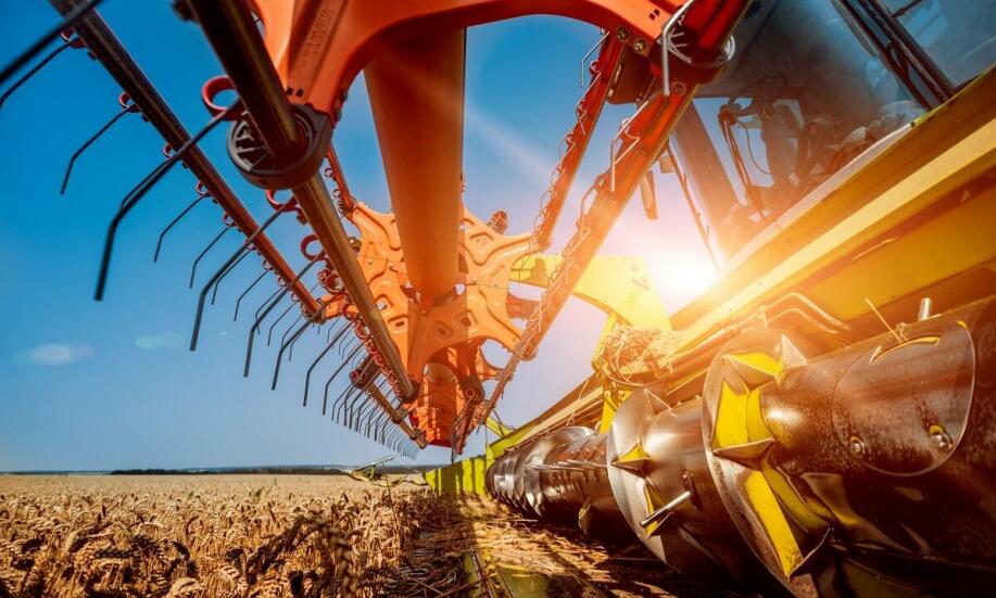 Jakie są różnice między zbiorami ręcznymi a mechanicznymi fasoli jaś?