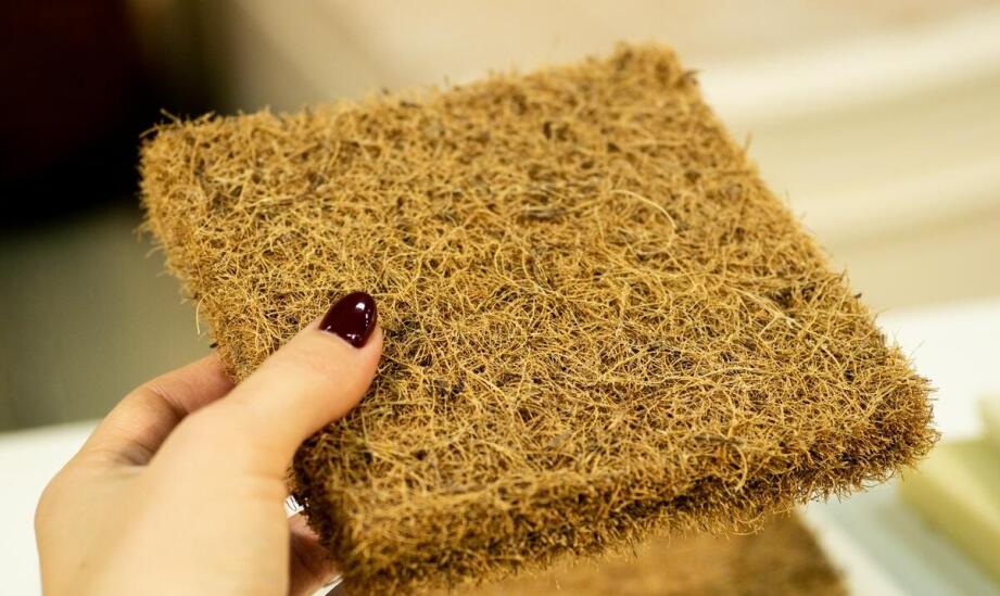 Ekologiczne gąbki do czyszczenia – innowacje od EGL Coral