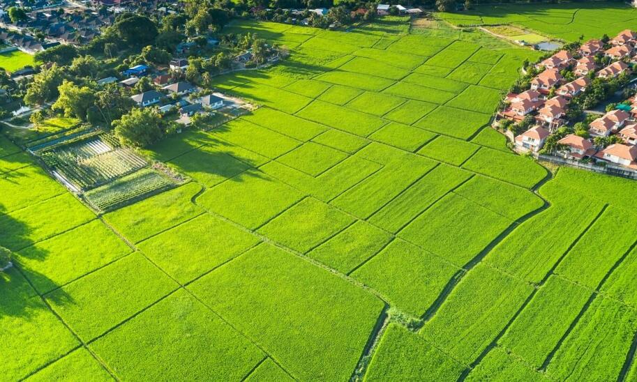 Jak zrealizować cele ekologiczne zawarte w planie działalności rolnośrodowiskowej?