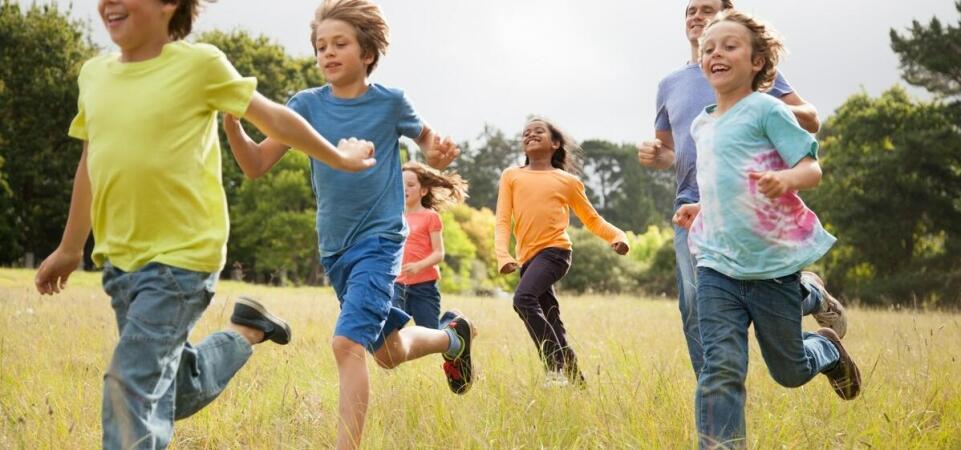 Jakie wartości przekazujemy dzieciom poprzez edukacyjne wycieczki szkolne?