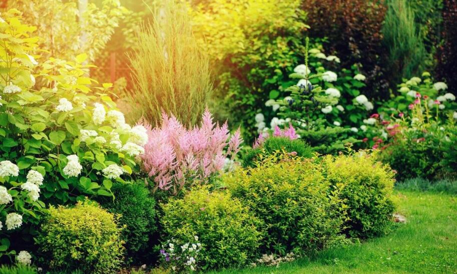 Cennik usług związanych z projektowaniem ogrodów w Poznaniu – co warto wiedzieć?