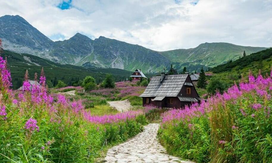 Noclegi na Złotym Szlaku - komfort i przytulność przez cały rok