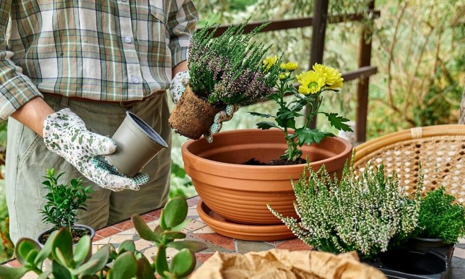 Jakie donice ogrodowe warto zamawiać w kwiaciarni online?