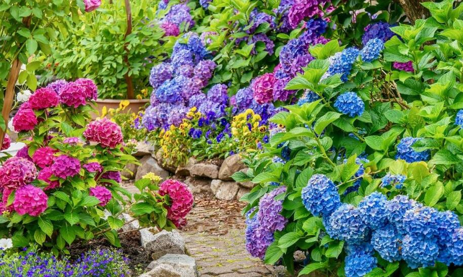 Jakie unikalne doświadczenia oferujemy w ramach oferty specjalnej dla gości?