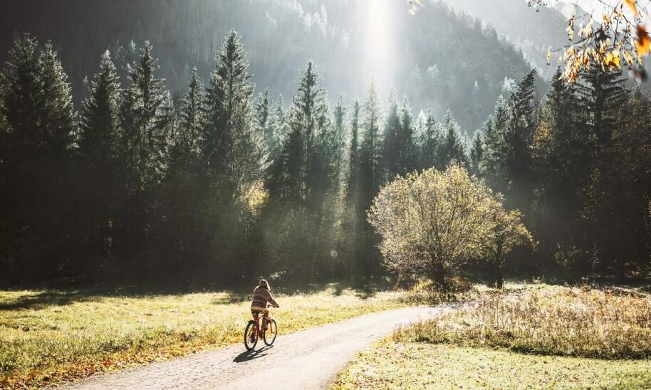 Czyste powietrze i zdrowy mikroklimat - dlaczego warto przyjechać w góry?