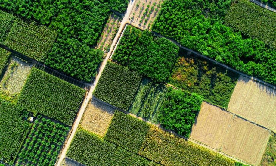 Geodeta Bielsko-Biała: Jakie pomiary są niezbędne przy podziale działek?