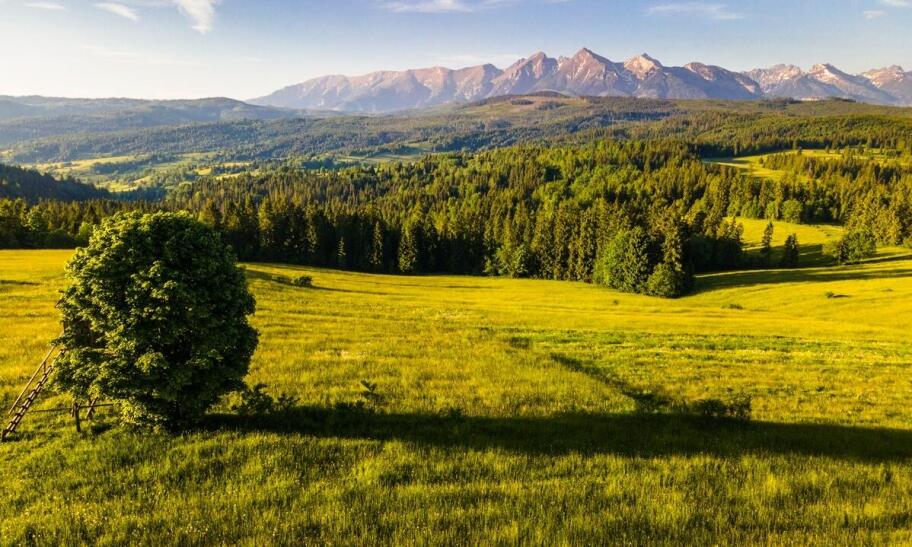 Idealne miejsce na wakacje z psem - co oferuje nasz dom w Karkonoszach?