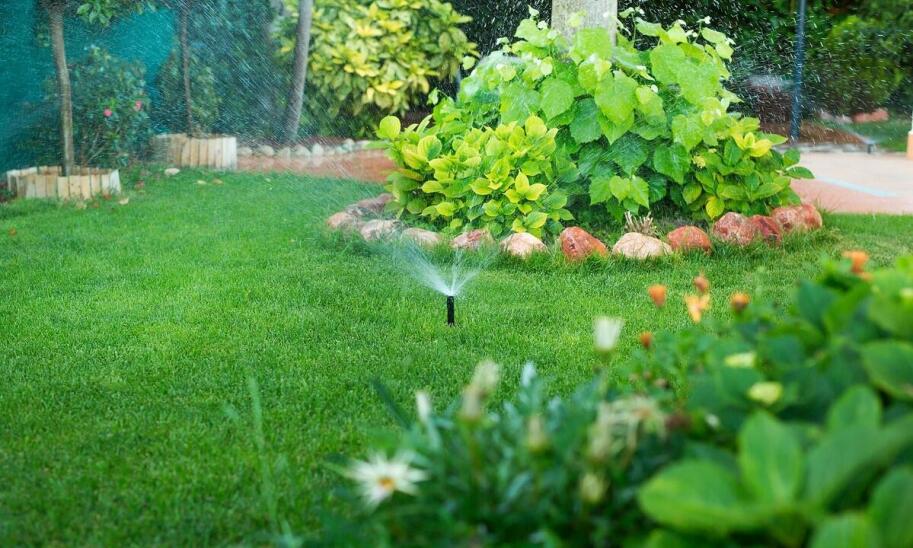 Porównanie różnych typów systemów nawadniania trawników – który wybrać?