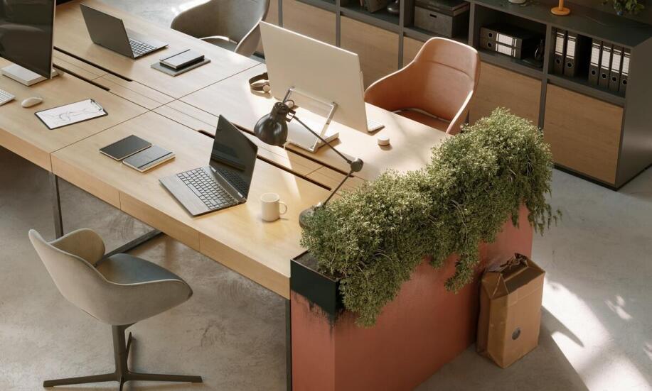 Przewodnik po usługach oferowanych przez biura wirtualne