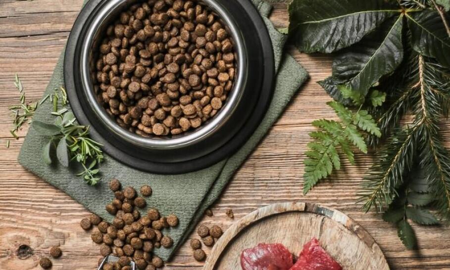 Jakie znaczenie ma białko w diecie psa i jak je dostarczać?