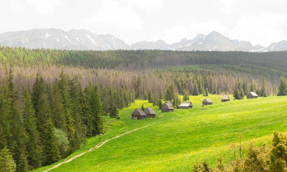 Komfortowe zakwaterowanie w sercu afrykańskiej przyrody – co oferujemy